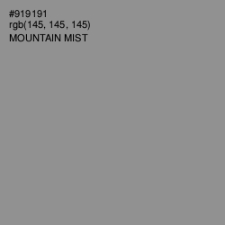 #919191 - Mountain Mist Color Image